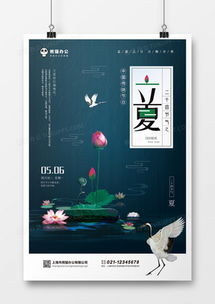 精品荷花广告设计大全 专业模板下载与设计灵感分享